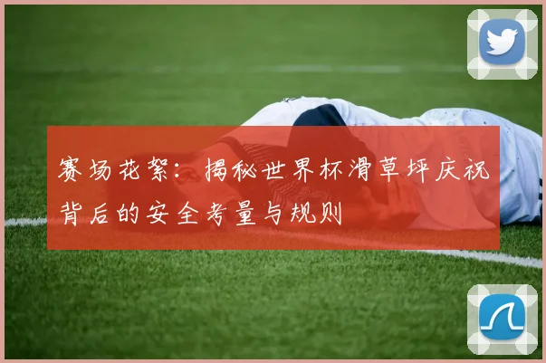 赛场花絮：揭秘世界杯滑草坪庆祝背后的安全考量与规则